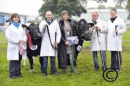 Royal Highland Show Breed 11