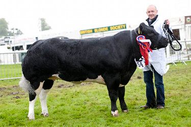 Royal Highland Show Winner 2012